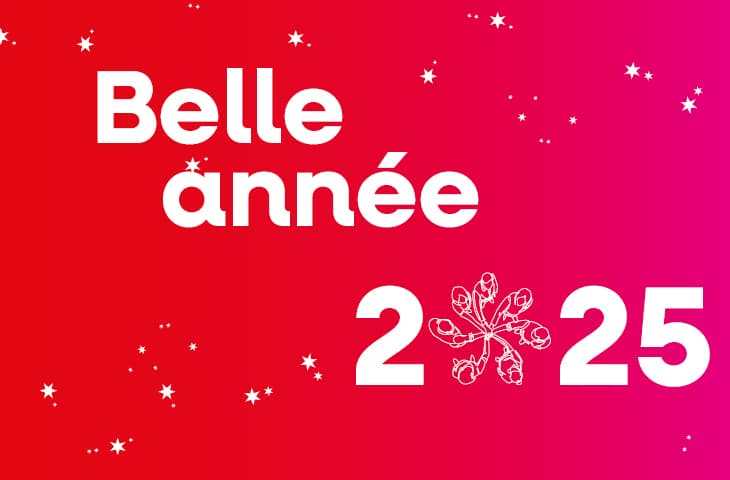 Vœux de bonne année