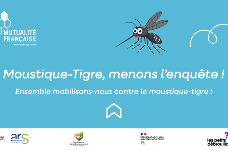 Moustique Tigre